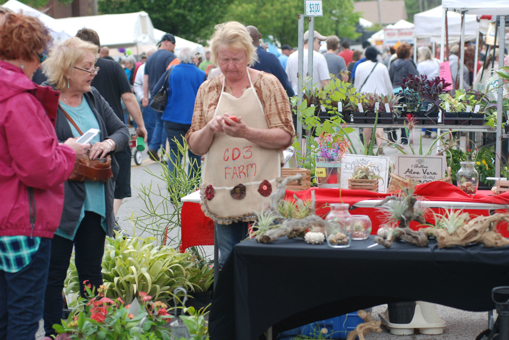 Sand Springs Herbal Affair & Festival